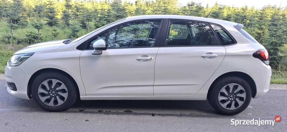 Citroen C4 1 Właściciel w Dulcza Wielka