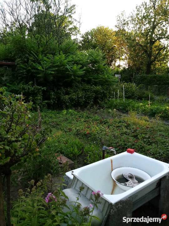 Ogródek Działkowy Hagera Zabrze RodSzarotka siatka Grunty i działki