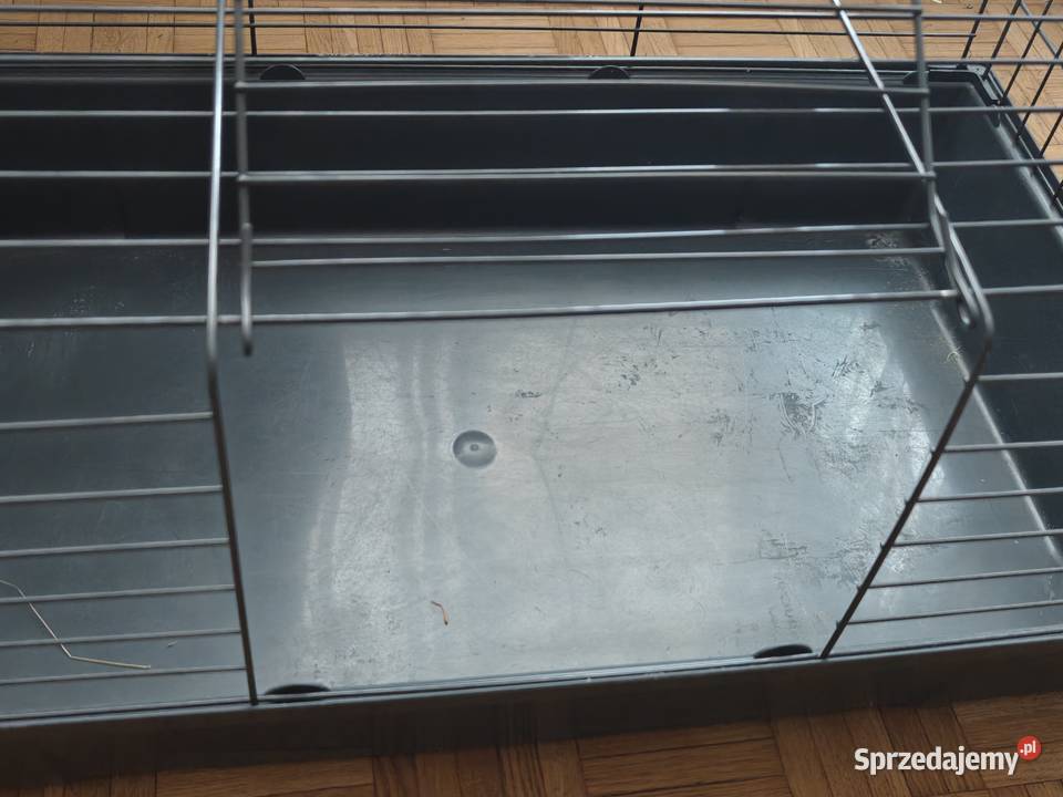 Klatka gryzoni Wrocław