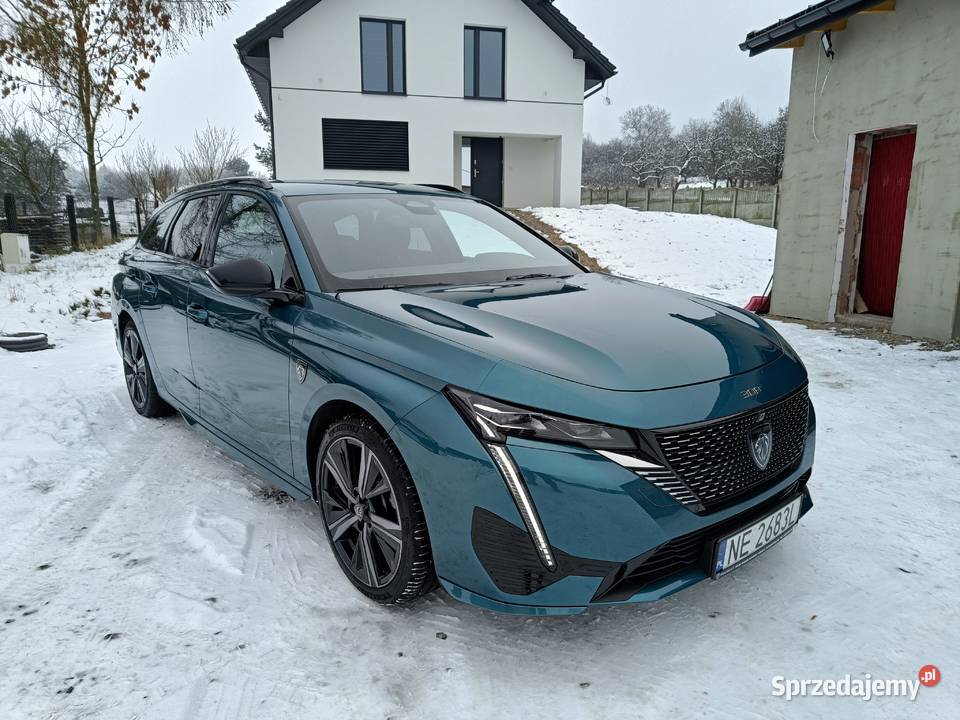 15 Salon 1 Właściciel Najbogatsza wyp Niski nieuszkodzony małopolskie Gołaczewy