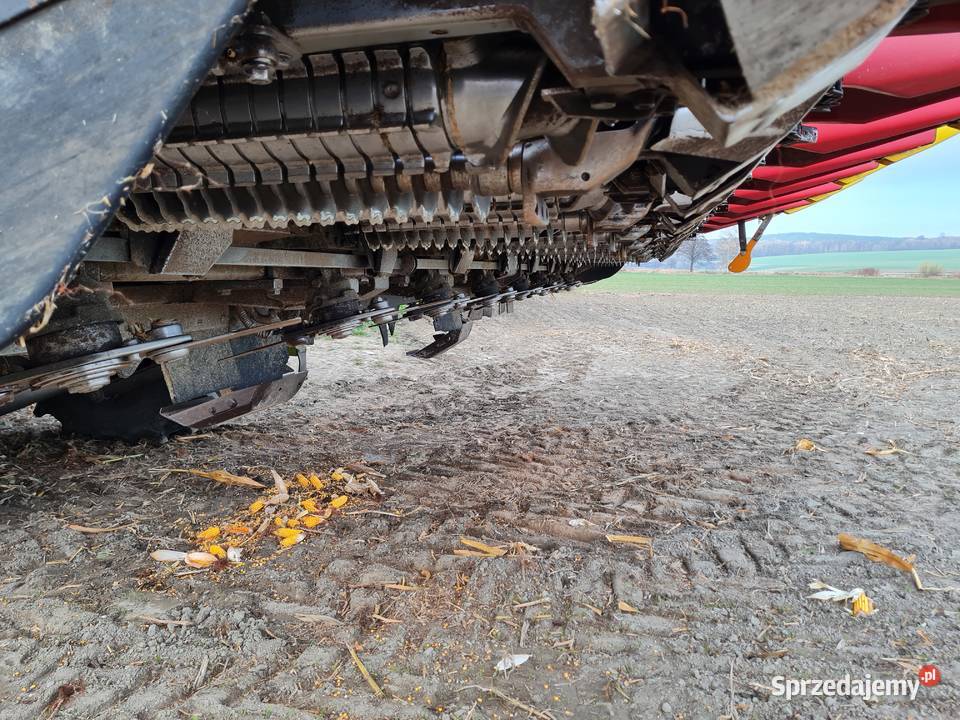 Przystawka do kukurydzy 8 rzędowa geringhoff 8 opolskie Branice sprzedam