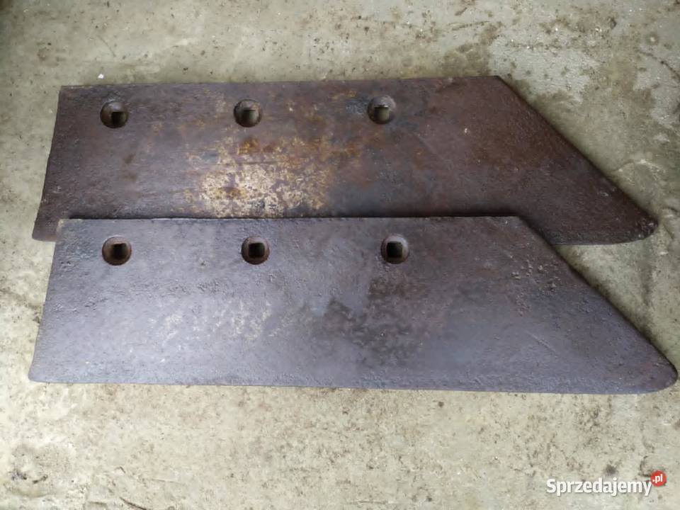 Lemiesze pomorskie Pszczółki