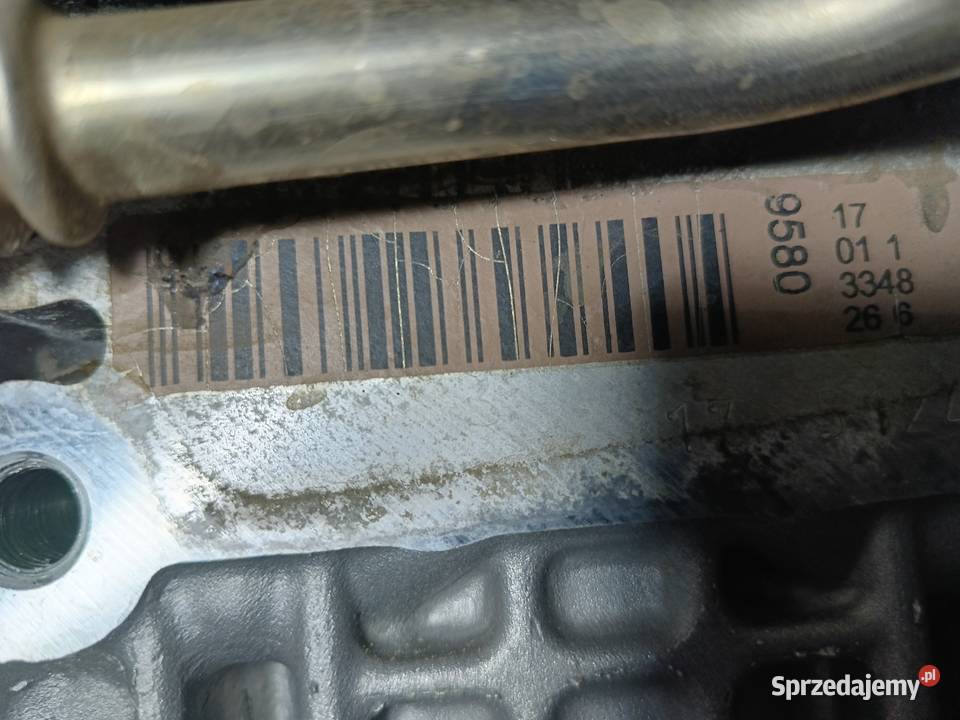 Silnik VWSkodaSeat Audi kompletny 14 BKY wielkopolskie Kopanica