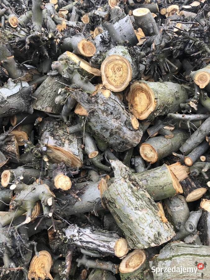 Drewno opałowe wielkopolskie Paprocin