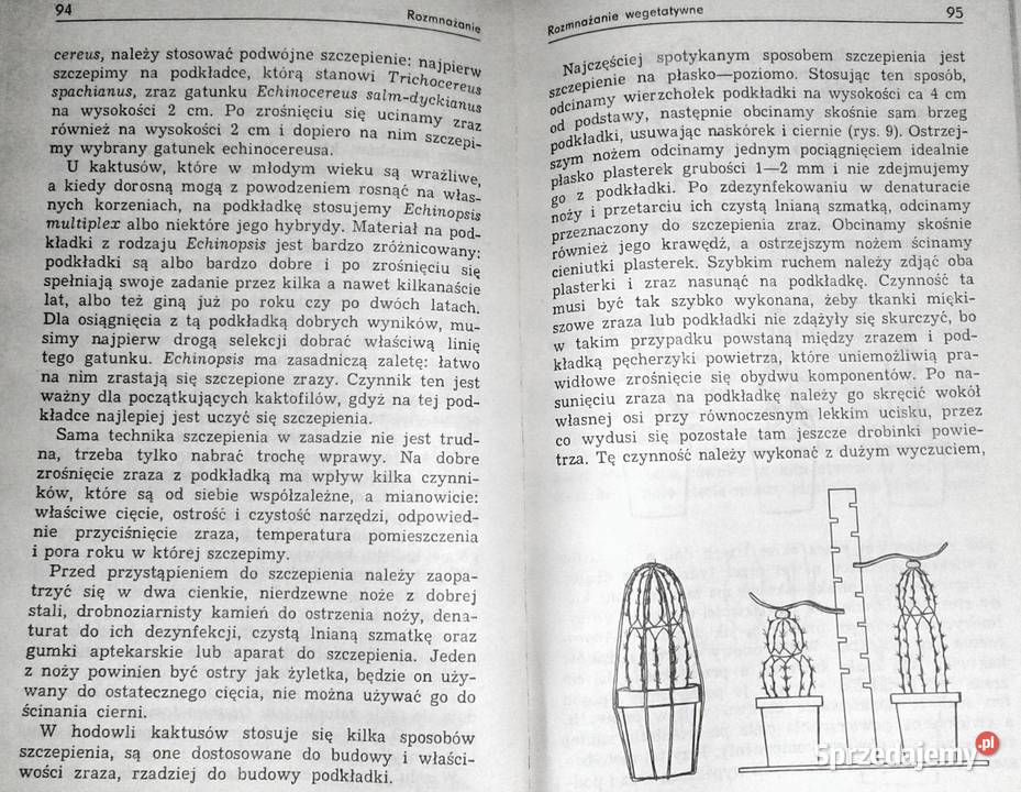 Uprawa kaktusów Stanisław Hinz Mieczysław Chełm sprzedam