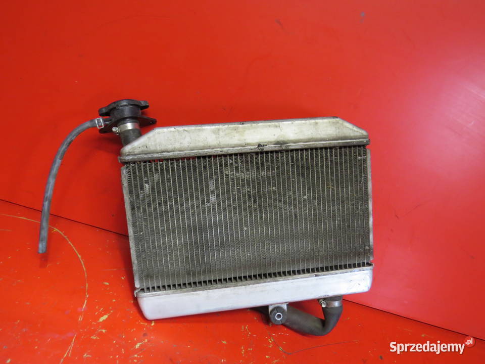 SUZUKI BURGMAN 400 250 07 k7 chłodnica