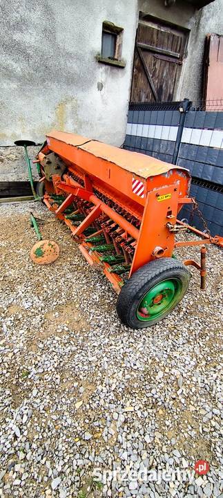 Siewnik poznaniak na części Polanka Wielka