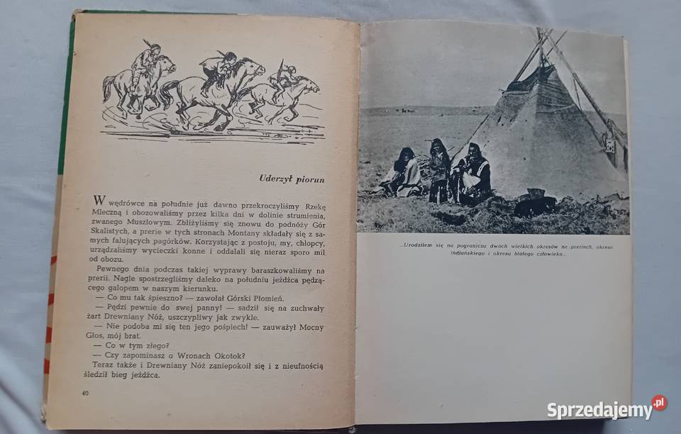 Arkady Fiedler Mały Bizon Iskry 1958r Wydanie V Koźminek