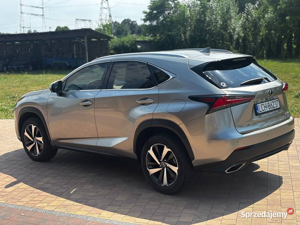Lexus NX 300 AWD 20 Benzyna 235 Automat Niski 235KM lubelskie