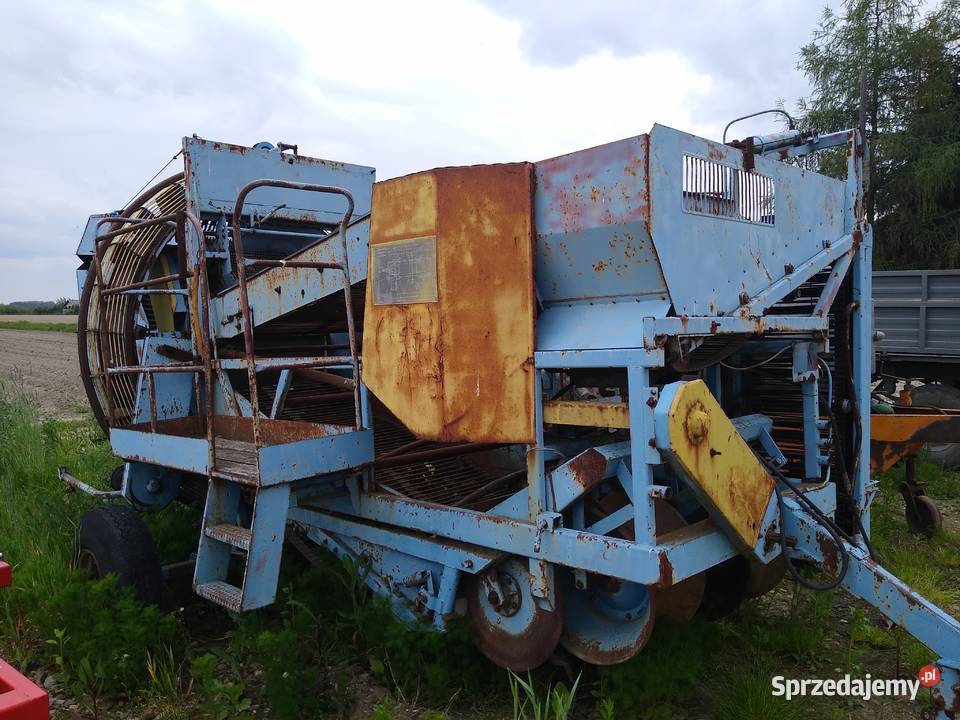 Anna kombajn ziemniaków marchwi grimme Błonie