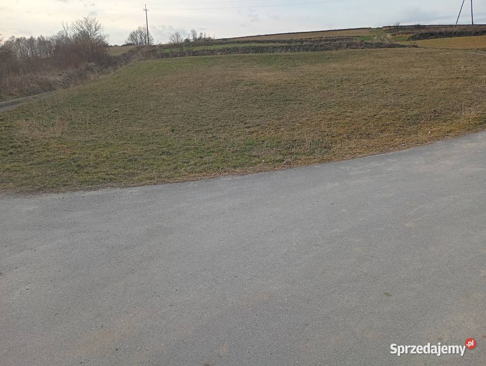 Działka pod zabudowę 1600m2 WZka Jędrzejowice k Sprzedaż