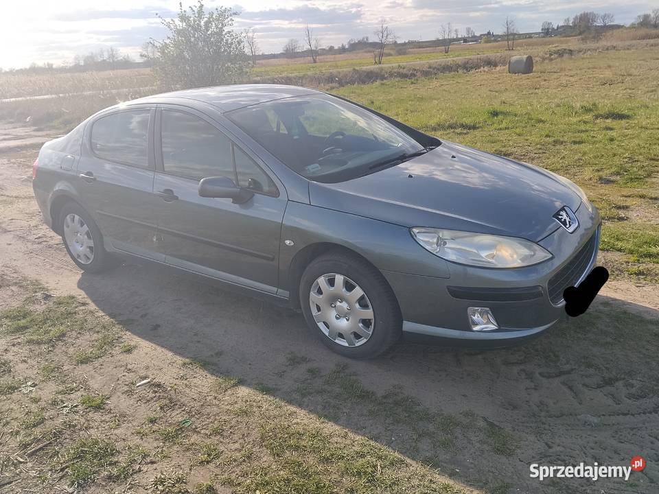 Peugeot 407 18 gaz 115KM łódzkie Łęczyca