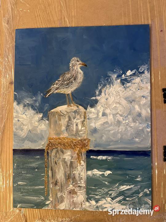 Mewa na krawędzi morskiego wiatru obraz olejny Zielona Góra