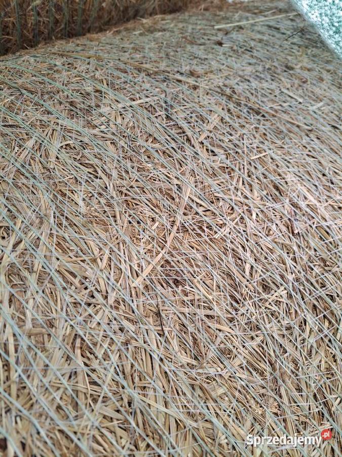 Siano Rolnictwo Bochnia