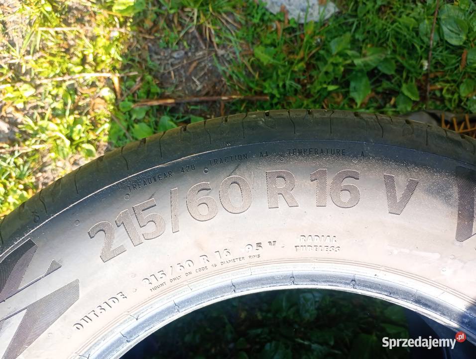 2156016 Continental 2022 lato podkarpackie