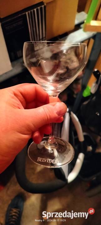 Kieliszki koktajlowe drinkowe Pozostałe śląskie Rybnik