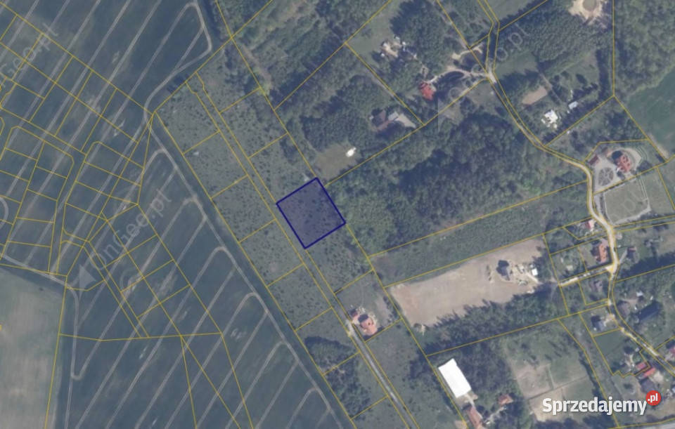 Działka 22318 w miejscowości Warcz 13zł/m2 sprzedam