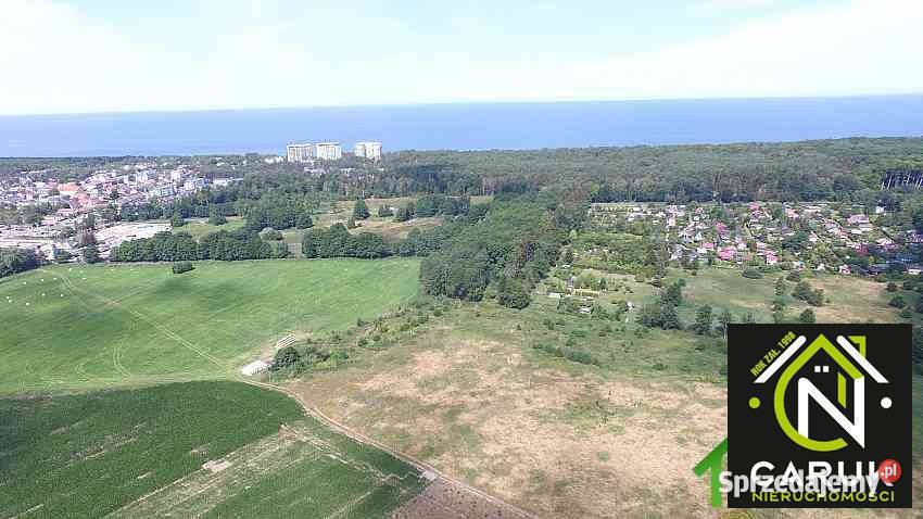 Działka Dziwnówek 6500m2