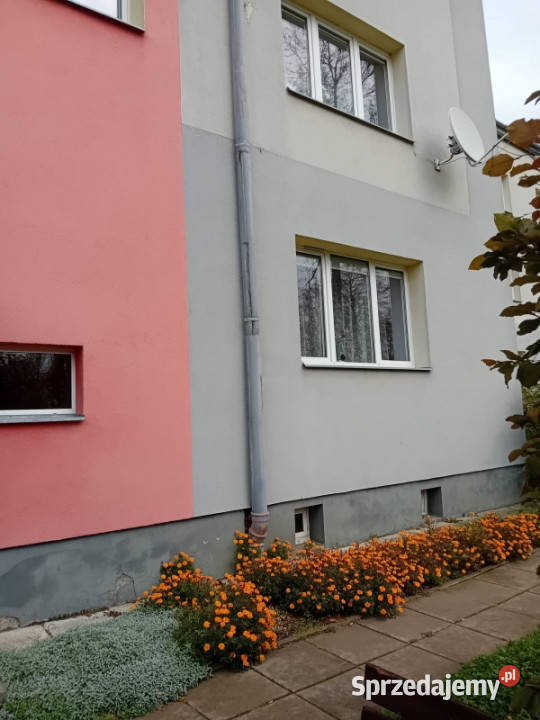 sprzedam mieszkanie 51m2 Starachowice