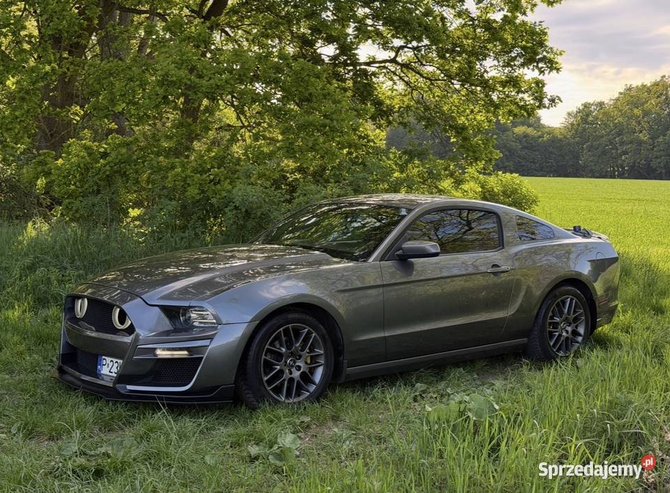 Ford Mustang 2013 37 LPG s197 CarPlay Pony kurtyny powietrzne Szczecin
