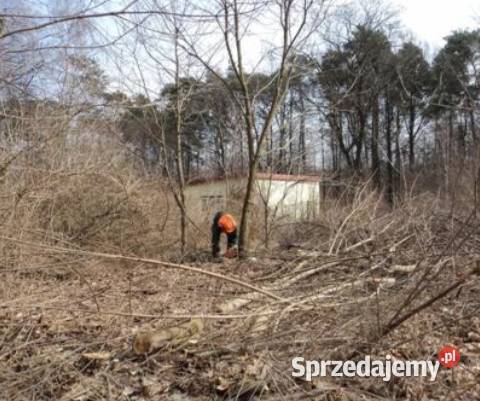 Cięcie żywopłotów oczyszczanie działek z