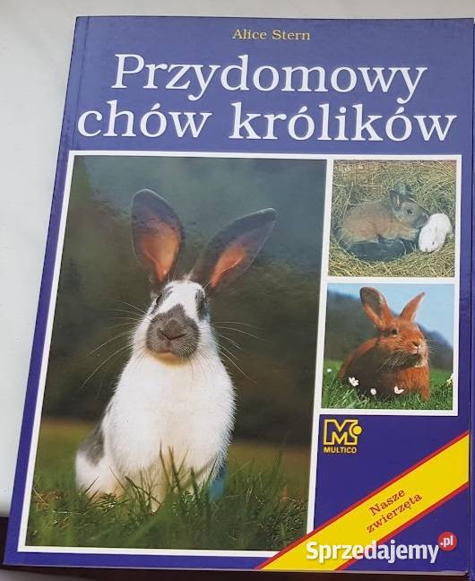 Alice Stern Przydomowy chów królików Zielona Góra