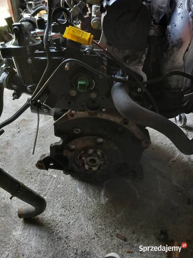 Silnik 20 HDI RHY 10DYSA Citroen Peugeot lubuskie Strzelce Krajeńskie sprzedam