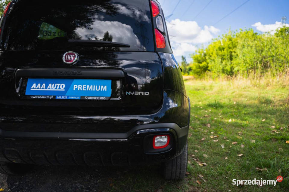 Fiat Panda 10 FireFly Katowice