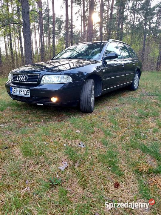 Audi a4b5 lift 19TDI 110 bez wkładu światła przeciwmgielne Czarna Woda