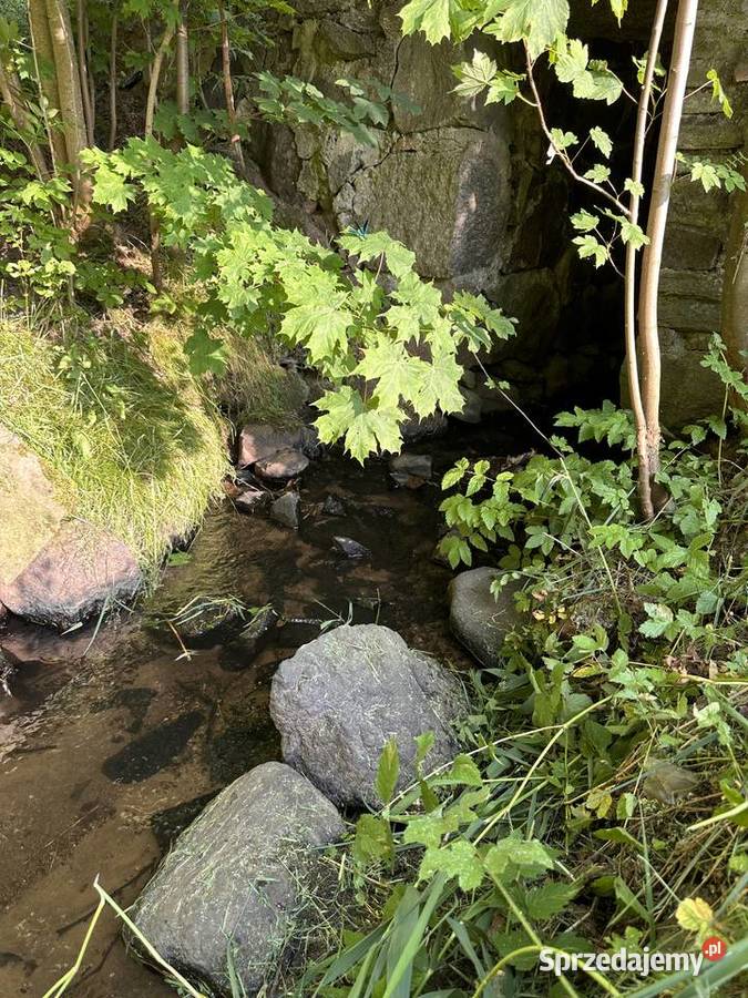 Działka z linią brzegową Pomianowo