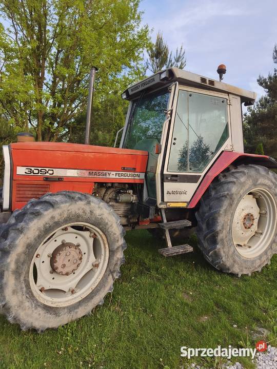 Massey Ferguson 3090 świętokrzyskie Drochów Górny