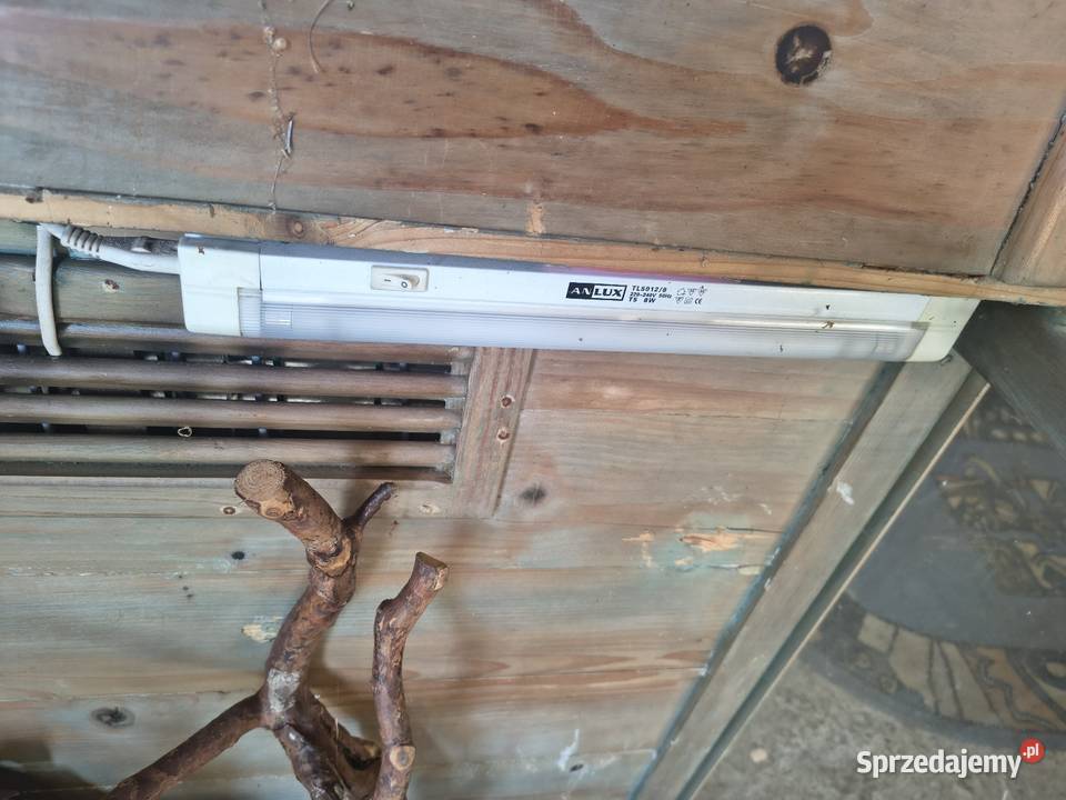 Terrarium plus wyposażenie Chorzew