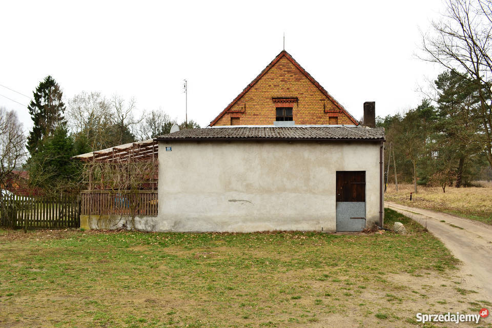 Dom na wsi lesie piękna okolica