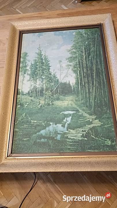 Dwa Ładne stare obrazy Reprodukcja