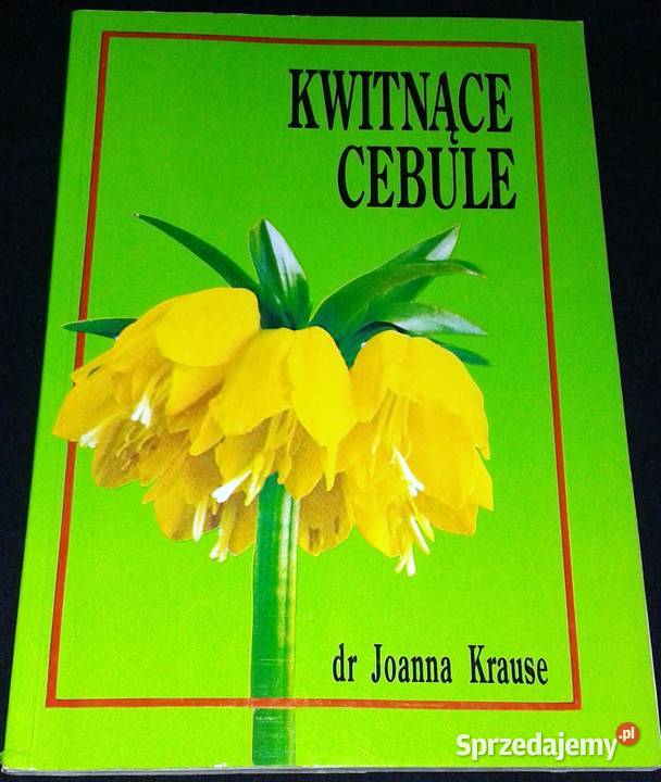 Kwitnące cebule ozdobne rośliny cebulowe i Chełm sprzedam