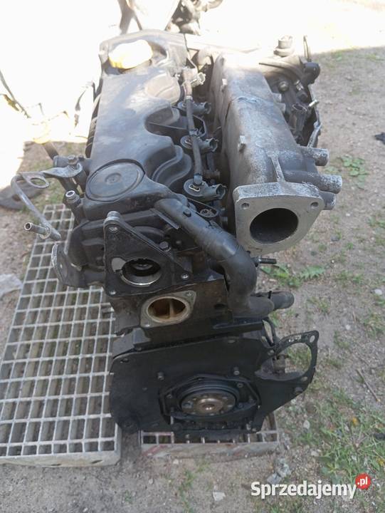 Opel vectra C 19 CDTI 120 Silnik gwarancja osobowe Sompolno