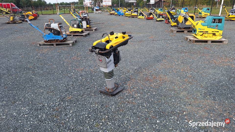 Skoczek Stopa WACKER NEUSON BS 502 plus 11in Pozostałe Trzebnica