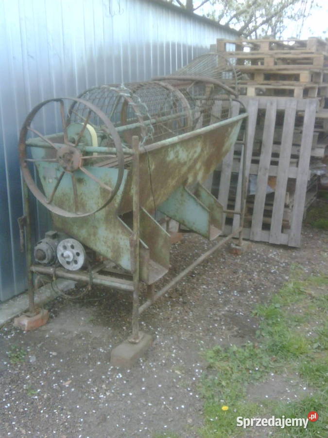 Sortownik do ziemniaków Grudzielec Nowy sprzedam