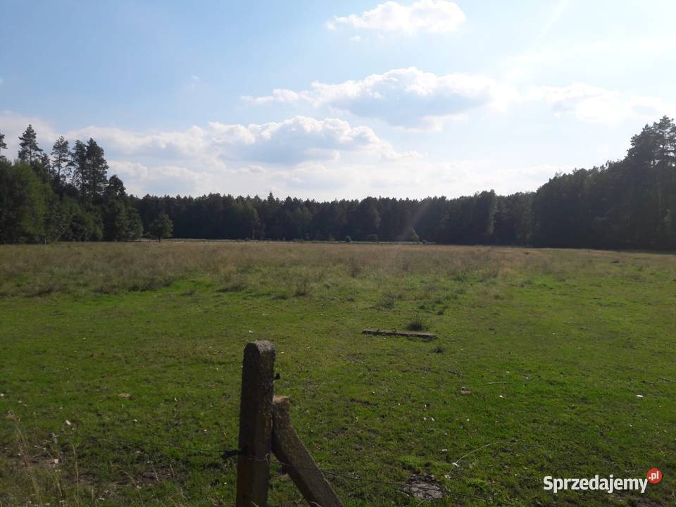 Dzialka rolna z warunkami zabudowy prąd