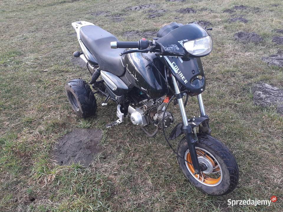 Trajka Quad samoróbka Bukowe