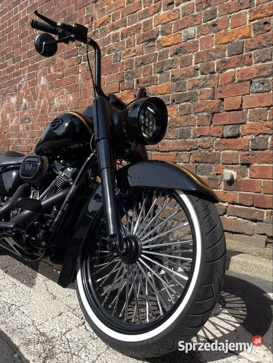 Harley Davidson Softail Heritage Chicano 2018 Syców