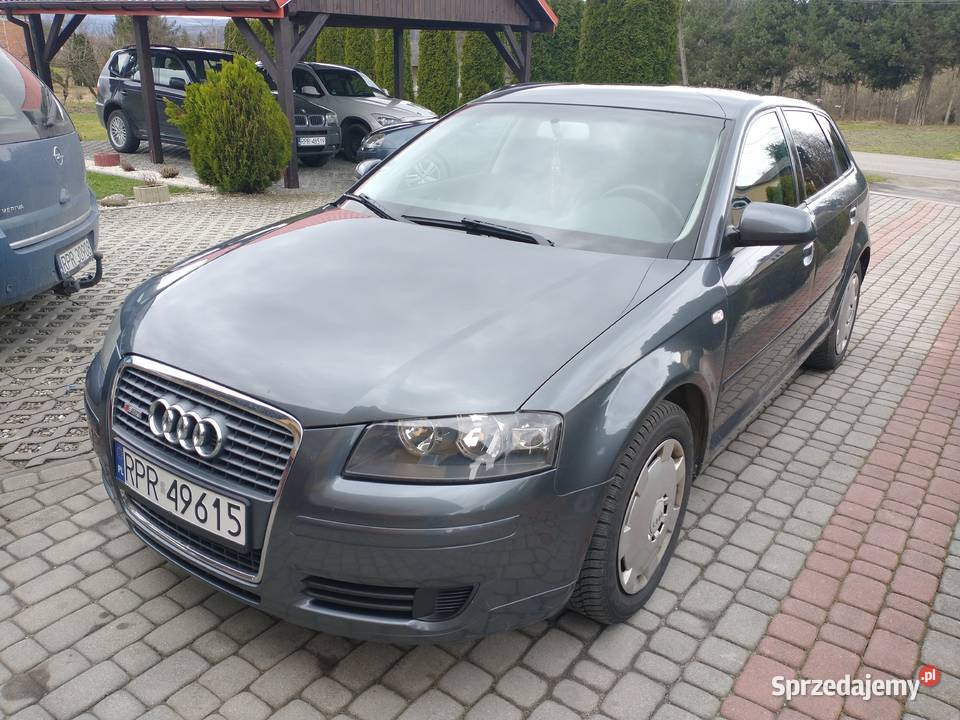 Sprzedam Audi A3 8P 16 MPI benzyna gaz auto Audi Skopów