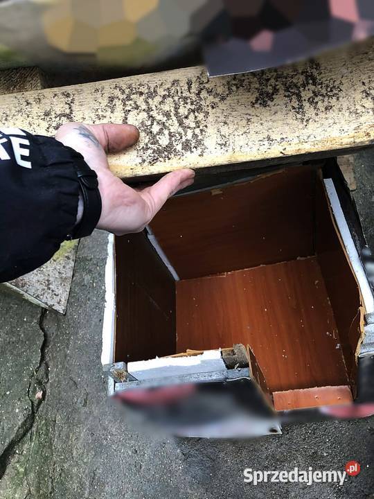 Buda zwierzęcia Pozostałe Ciechanów