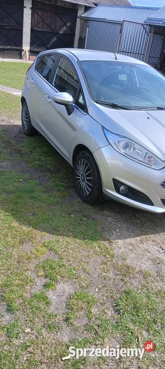 Fiesta MK7 100KM Lubartów