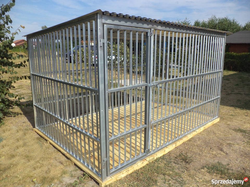 KOJEC PSA ZAGRODA PSA KOJCE NA WYMIAR CAŁA Wrocław