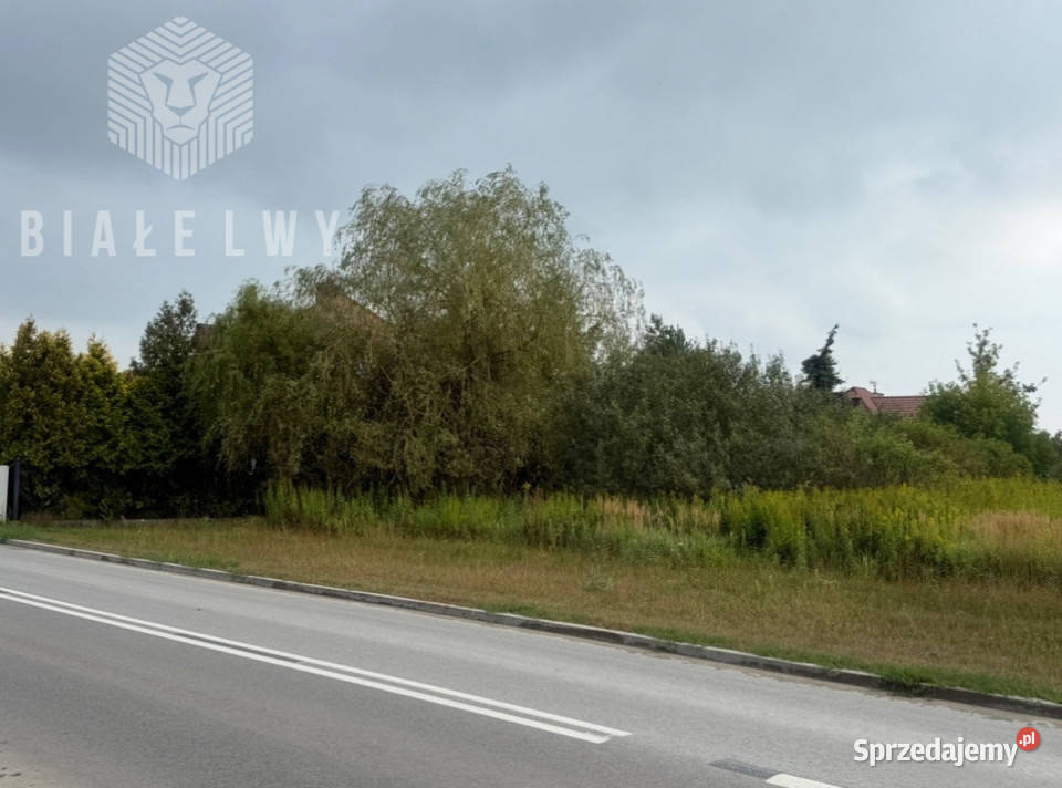 Ogłoszenie grunt Łoziska 2500m2 mazowieckie