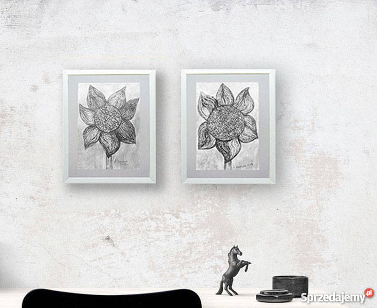 biało czarny rysunek ze słonecznikiem szary śląskie Katowice