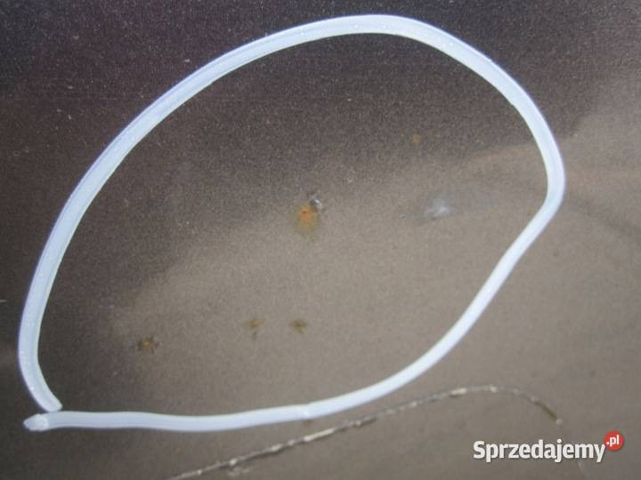 NISSAN MURANO Z50 05r drzwi prawe tył 340 świętokrzyskie Kielce