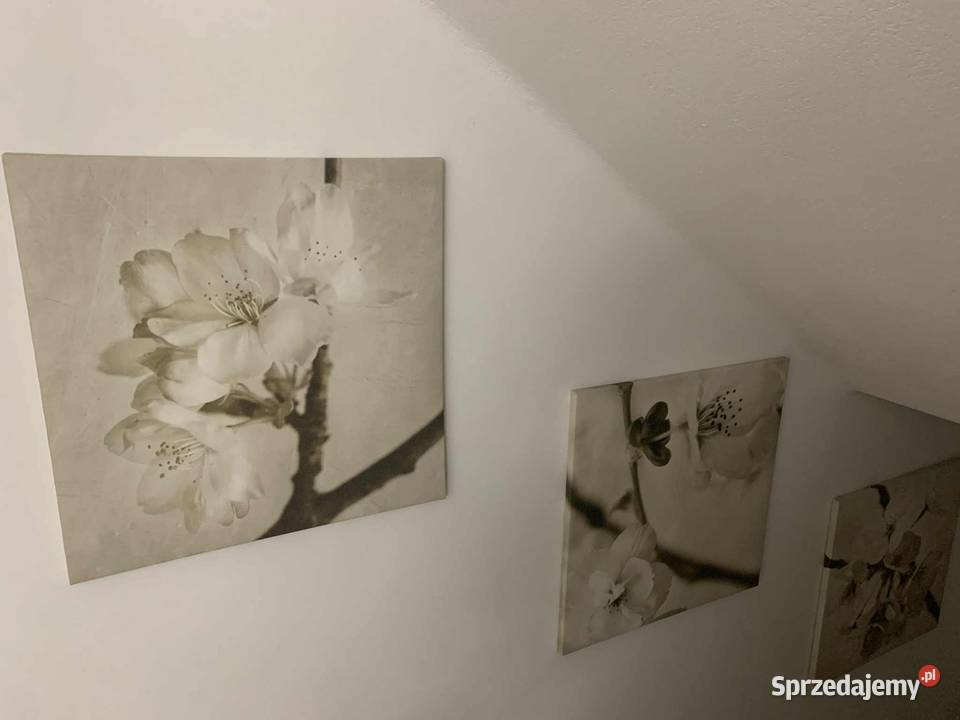 Obrazy na klatke schodowa