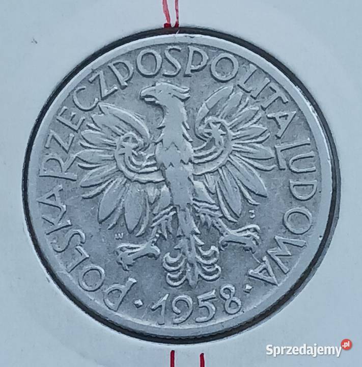 5 złotych Rybak 1958 r 5 Skrętka Numizmatyka wielkopolskie Konin